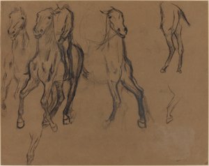 Étude de chevaux - Edgar Degas