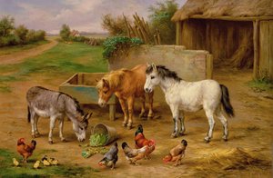 Amis de la ferme