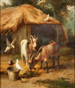 Chèvres et colombes dans une cour de ferme