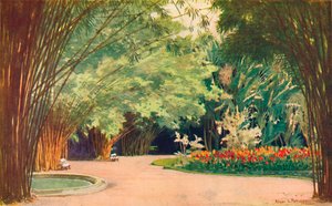 Une forêt de bambous - Jardins botaniques