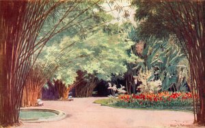 Une bambouseraie, Jardins botaniques