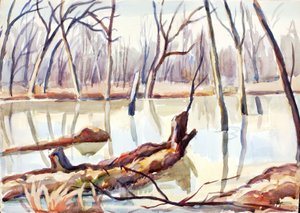 Rock Creek, Hiver - Edgar Nye