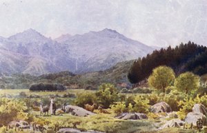 Nord de l