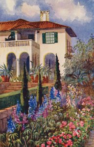 Un coin du jardin à la Villa Arcadia, Johannesburg