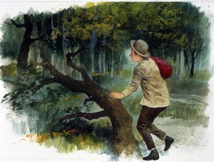 Littérature pour enfants : des Apennins aux Andes. Un jeune garçon seul dans la forêt (dessin) - Edmondo de Amicis