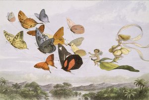 Au pays des fées : Une série d