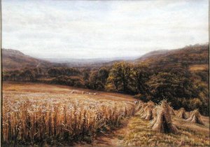 Temps de récolte près d