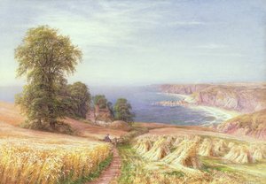 Temps de récolte au bord de la mer