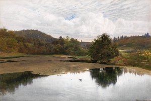 Leith Hill, depuis Broadmoor, Surrey - Edmund George Warren