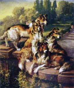 Collies - Edmund Henry Osthaus