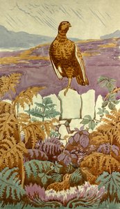 Guetteur sur la lande (vers 1930)