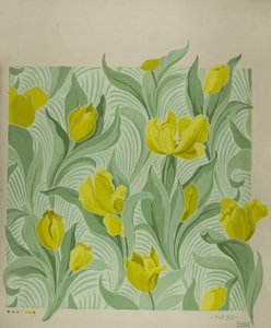 Tulipe - Edmund Hunter