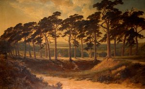 Harrow depuis le First, Hampstead Heath, 1875 - Edmund John Niemann