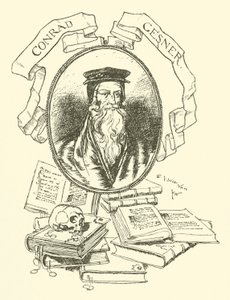 Conrad Gesner