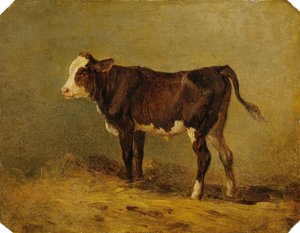 Veau - Edmund Mahlknecht