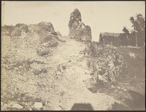 [Paysage rocheux]