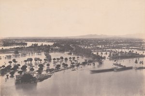 Avignon (Inondation de 1856)