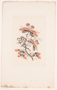 Fleurs et boutons (Fleurs Idéales) - Edouard Gautier Dagoty