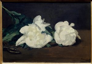 Branche de pivoines blanches et sécateur - Édouard Manet