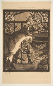 Chat et fleurs. Illustration pour Les Chats de Champfleury, 1869 - Édouard Manet