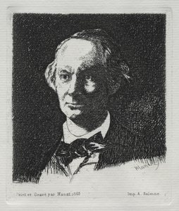Charles Baudelaire, 1869