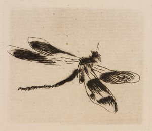 Libellule, planche 1 de Le Fleuve - Édouard Manet