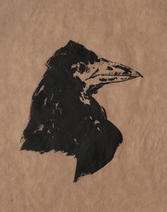 Tête de Corbeau
