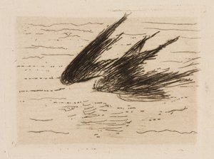 Hirondelles, planche 8 du Fleuve