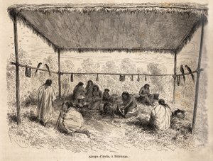 Ajoupa des Indiens Antis à Biticaraya - Edouard Riou