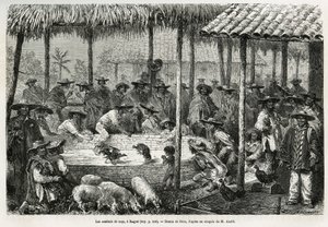 Combats de coqs et animation de rue à Ibague (Colombie) (illustration de l