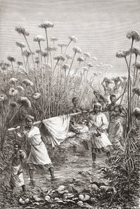 Dr. David Livingstone porté les derniers kilomètres jusqu