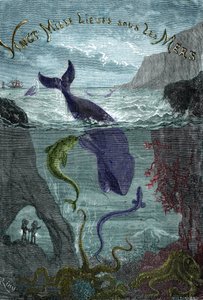 Gravure du livre de Jules Verne Vingt mille lieues sous les mers