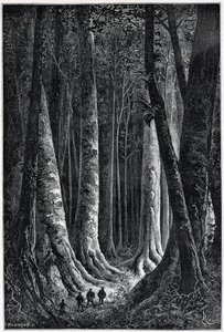 Forêt de Guyane française, dessin par Riou, «Le Tour du Monde», 2e semestre 1879