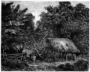 Guyane, Amérique du Sud, 19ème siècle
