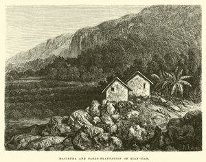 Hacienda et plantation de cacao de Tian-tian - Edouard Riou