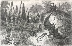 Paysage de la période liasique. Illustration représentant un ptérodactyle - Edouard Riou