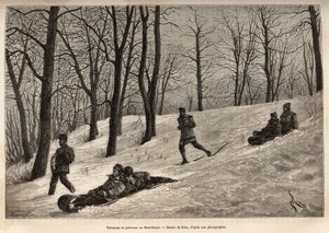 Luges et patineurs au plateau du Mont-Royal, près de Montréal, gravure d