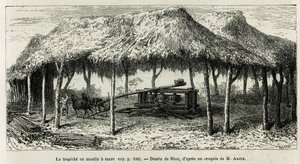 Le trapiche, ou moulin à sucre pour broyer les cannes à Panche (Colombie), dessin de Riou, pour illustrer l
