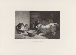 Chat soufflant et trois chiens aboyant près d