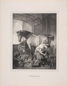 Danois : I Smedien