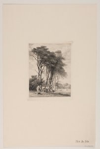 Paysage. Vaches près d