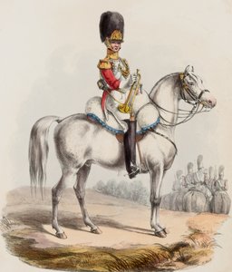 1er Life Guards, Trompette - Edward (after) Hull