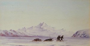 Scène arctique