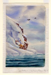Cap Wadsworth, île Coulman - Edward Adrian Wilson