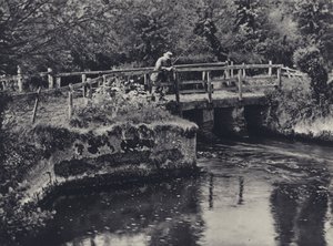 À Burcombe sur la Nadder
