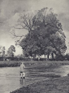 Temps de truite à Romsey sur le Test