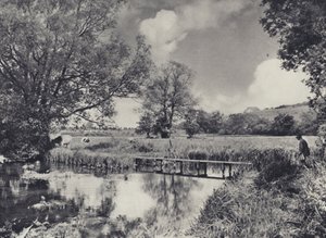 Prairies humides du Lower Itchen