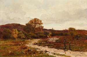 Paysage de lande