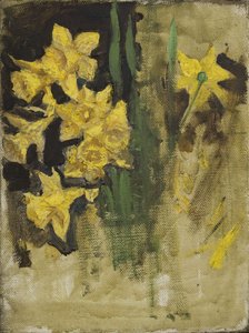 Jonquilles