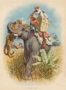 Un combat dans la jungle - Edward Brice Montefiore